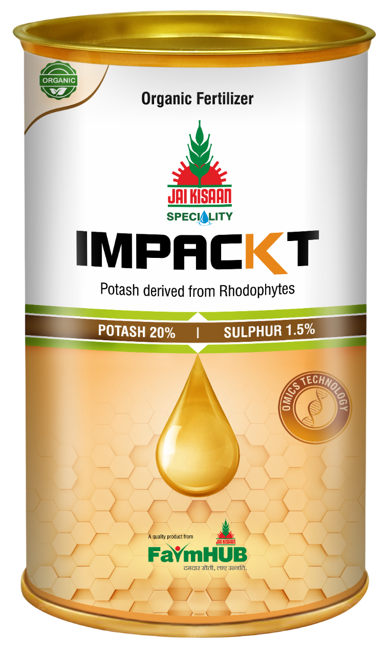 IMPACKT